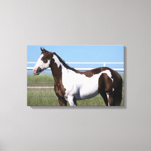 Toile Peignez la position de cheval