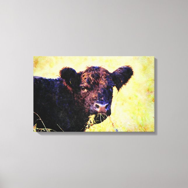 Toile Peinture à l'aquarelle de la vache Beltie Galloway (Recto)