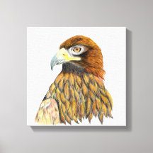 Peinture d'aquarelle d'Aigle d'or