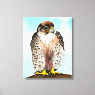 Toile Peinture d'aquarelle de Faucon de Lanner