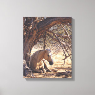 Toile Peinture de cheval de forêt au coucher de soleil r