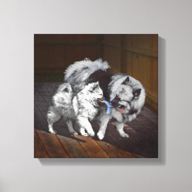 Toile Peinture Keeshond Playtime - Jolie art original ch (Recto)