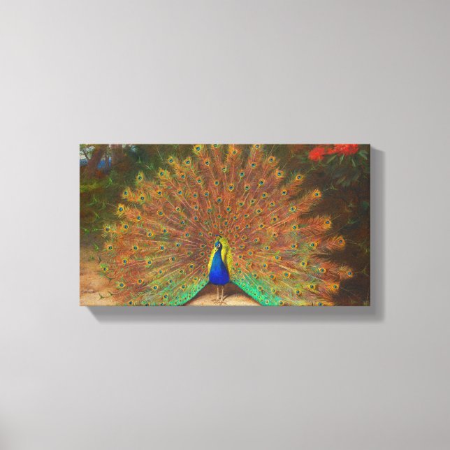 Toile Peinture Peacock vintage (Recto)