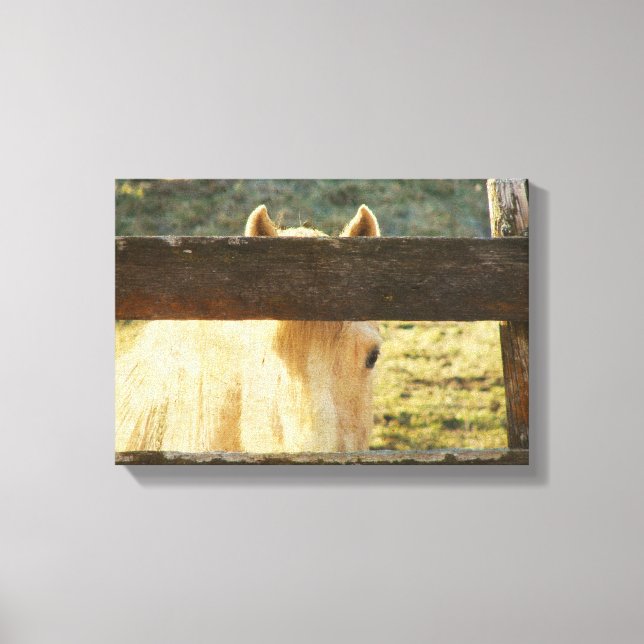 Toile Pékin À La Clôture (Recto)