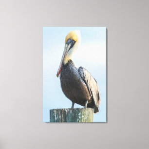Toile Pelican perché sur le pylône