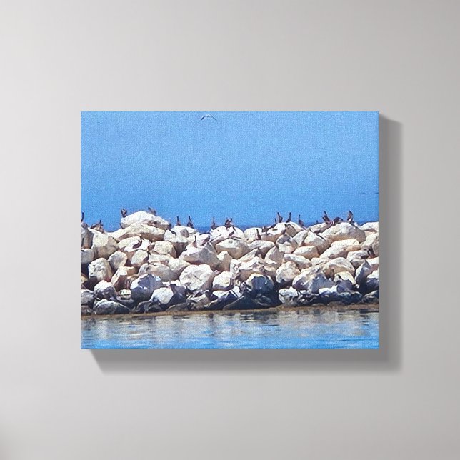 Toile Pélicans sur les rochers sur le magnifique Pacifiq (Recto)