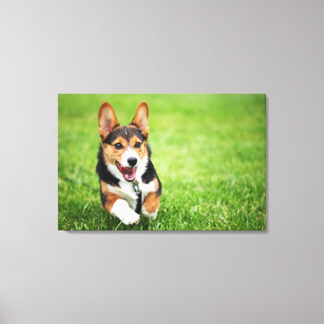 Toile Pembroke Welsh Corgi Puppy Joyeux Et Énergétique (Recto)
