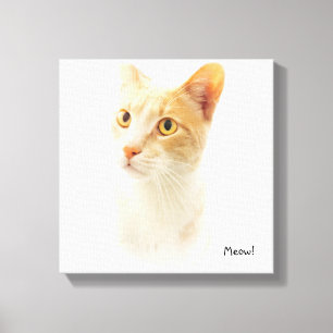 Toile Petit Chat Blondie Se Demandant