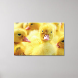 Toile Petits canards