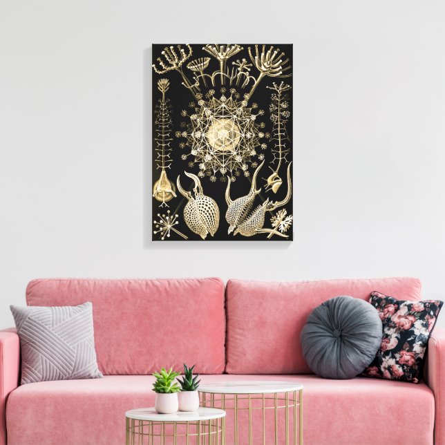 Toile Phaeodaria | 61 Or | Ernst Haeckel | (Insitu(Salon))