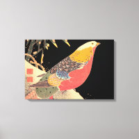 Phéasant d'or dans l'art ornithologique Snow Itô J