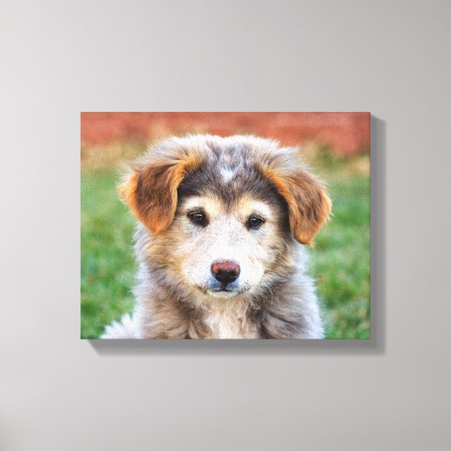 Toile Photo adorable Chien de Chien de Chien (Recto)
