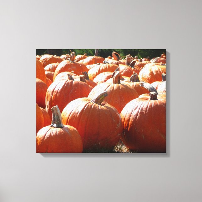 Toile Photo citrouille pour automne, Halloween ou Thanks (Recto)