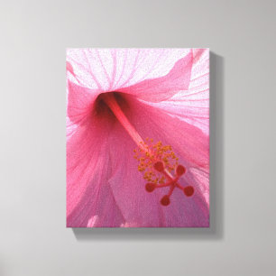 Toile Photo d'art fin de l'hibiscus rose hawaïen