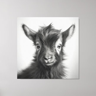 Toile Photo de chèvre mignonne noire et blanche