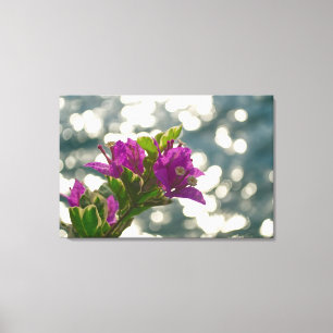 Toile Photo de fleur de bougainvillée avec flou d'arrièr