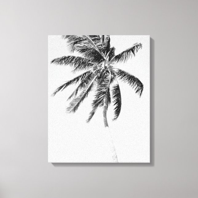 Toile Photo de palmier noir et blanc (Recto)