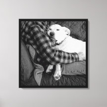 Photo en noir et blanc de chien en train de frappe