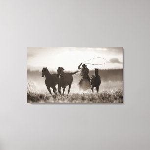 Toile Photo noire et blanche des chevaux d'un Lassoing
