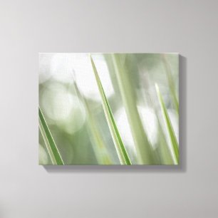 Toile Photo vert pointu Plante Nature