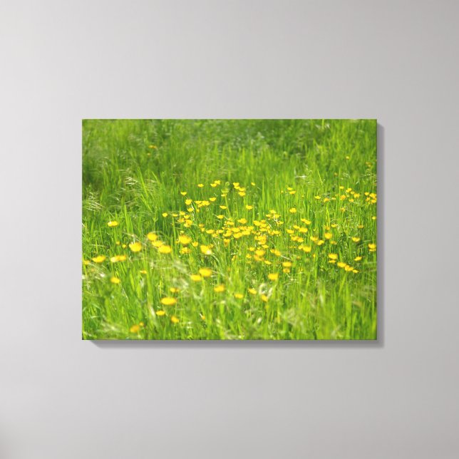 Toile Photographie botanique florale de fleurs jaunes (Recto)