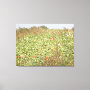 Toile Photographie d'art mural de champ de citrouilles a