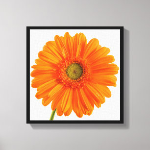 Toile Photographie d'art orange Gerbera Fleur marguerite