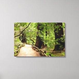 Toile Photographie de la nature du chemin de Muir Woods 