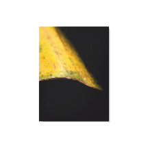 Photographie de la nature minimaliste Feuille dans