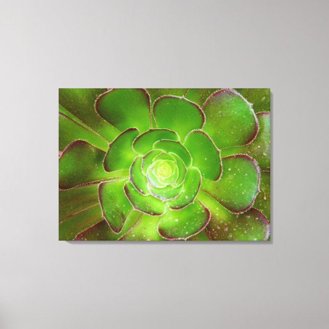 Toile Photographie de macro plante brillant vert radiant (Recto)