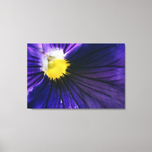 Toile Photographie de macro violet pansy élégante (Recto)