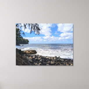 Toile Photographie de paysage naturel hawaïen