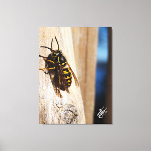 Toile Photographie de près de guêpe vêtue de jaune Freel
