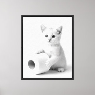Toile Photographie de studio de chat blanc minimaliste d