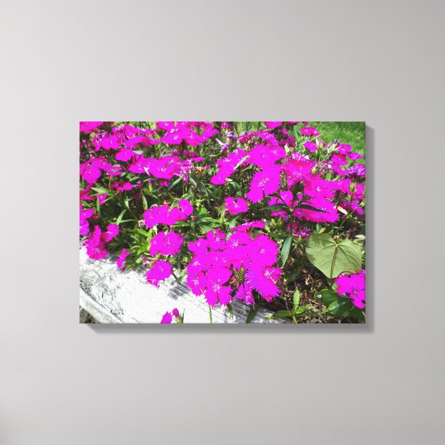 Toile Photographie des fleurs violettes (Recto)