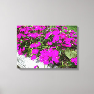 Toile Photographie des fleurs violettes
