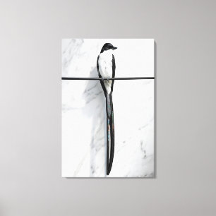 Toile Photographie minimaliste d'oiseau sur fil
