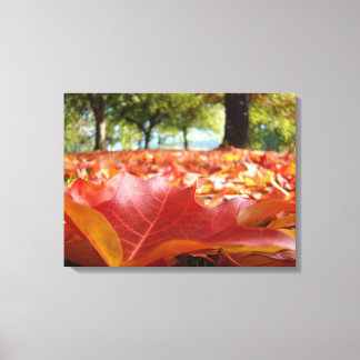 Toile Photographie nature Décoration Murale Feuilles d'a