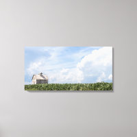 Photos de Old Barns Series - Summer Corn Fields