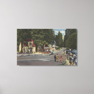 Toile Piétons sur Lake Shore Drive