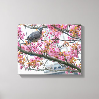 Toile Pigeon Reposant Sur Une Zone D'Arbre Imprimer