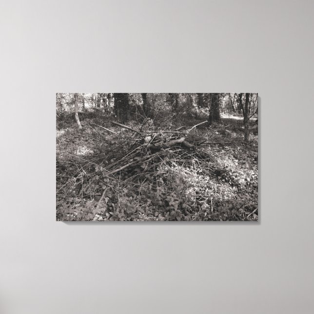 Toile Pile de bâtons - Noir et Blanc Toné Chaud (Recto)