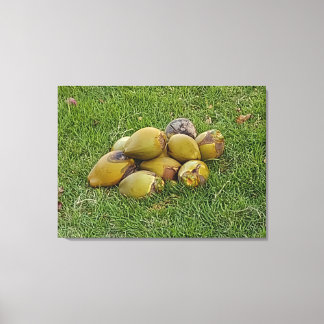 TOILE PILE DE COCOTIERS