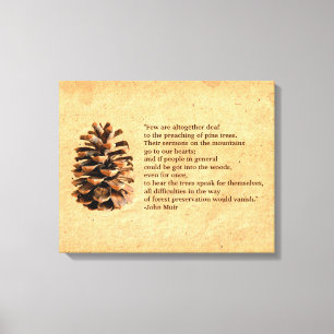 Toile Pine Cone Et John Muir Citation