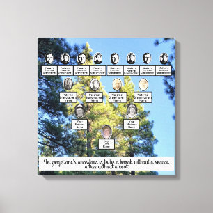 Toile Pinède Arbre Famille Quatre Génération Canvas Art