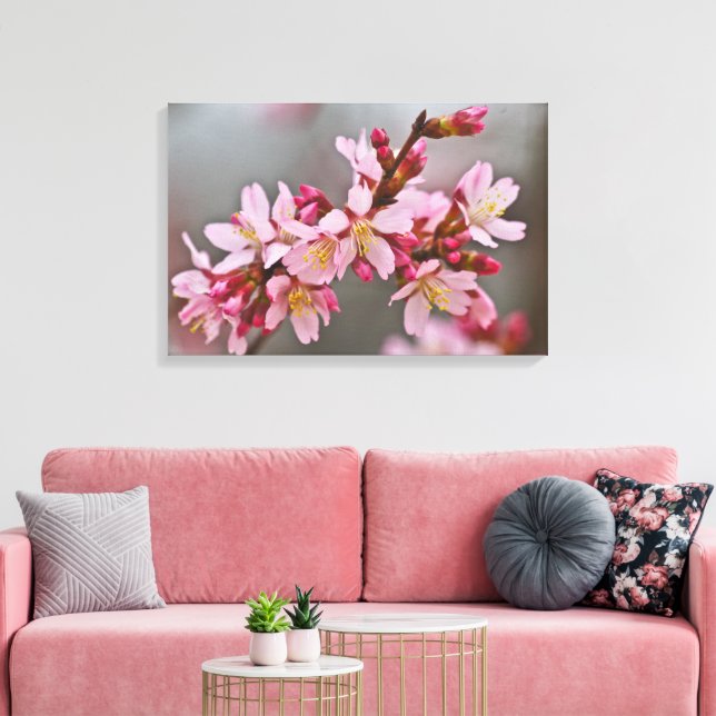 Toile Pink Against A Gray Sky Japanese Cherry Blossoms (Insitu(Salon))