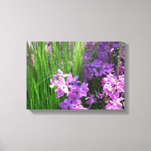 Toile Pink Phlox et Grass été Floral