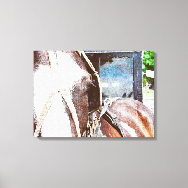 Toile Pinto Amish Buggy Horse (Recto)