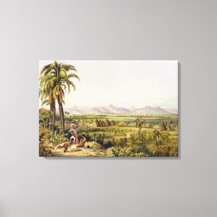 Toile Pirara et lac Amucu, le site d'Eldorado, copie
