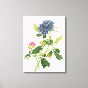 Toile Pivoine